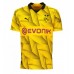 Borussia Dortmund Marco Reus #11 Replica Third Stadium Shirt 2023-24 Short Sleeve